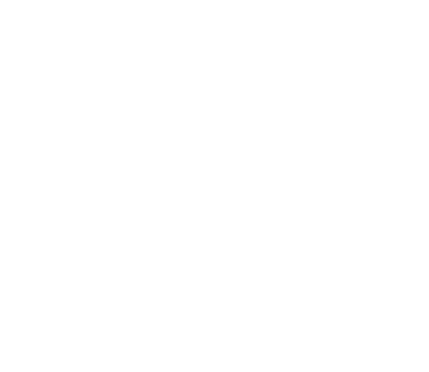 mercedes-logo-service